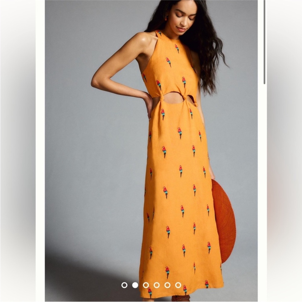 Farm Rio Midi Parrott Dress (Size : XXS)